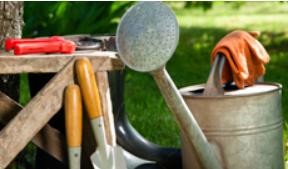 Garden tools and watering can